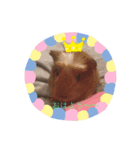 creatures days（個別スタンプ：7）