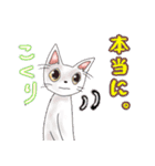 ニャーねこ 第6弾 日常リアクション（個別スタンプ：4）