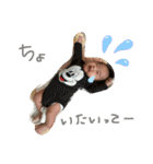 しんきさん（個別スタンプ：1）