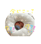 しんきさん（個別スタンプ：4）