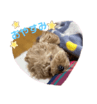 ちゃ〜ちゃん♡（個別スタンプ：1）
