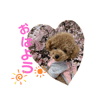 ちゃ〜ちゃん♡（個別スタンプ：8）
