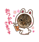 とら☆ひよvol.2（個別スタンプ：16）