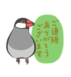 帰ってきた！ていねいな文鳥さん（個別スタンプ：9）