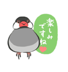 帰ってきた！ていねいな文鳥さん（個別スタンプ：14）