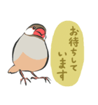 帰ってきた！ていねいな文鳥さん（個別スタンプ：18）