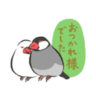 帰ってきた！ていねいな文鳥さん（個別スタンプ：24）