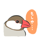 帰ってきた！ていねいな文鳥さん（個別スタンプ：26）