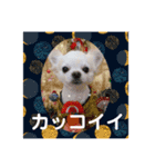 我が家のキュートくん！12（個別スタンプ：3）