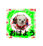 我が家のキュートくん！12（個別スタンプ：7）