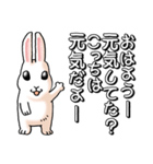 口数の多いうさぎ（個別スタンプ：1）