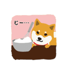 柴犬しばたさんの日常（個別スタンプ：35）