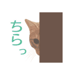 トラとチョビ（個別スタンプ：26）