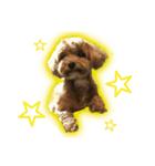 MARIA スタンプ（個別スタンプ：4）