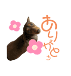 おちゃことななぺい（個別スタンプ：3）