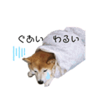 おちゃことななぺい（個別スタンプ：4）