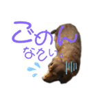 おちゃことななぺい（個別スタンプ：5）