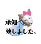 三角な猫5（個別スタンプ：5）