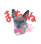 三角な猫5（個別スタンプ：11）