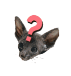 三角な猫5（個別スタンプ：14）