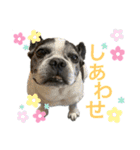 がくげん4（個別スタンプ：1）