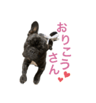 がくげん4（個別スタンプ：10）