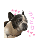 がくげん4（個別スタンプ：14）