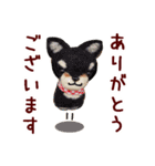 羊毛フェルト柴犬（個別スタンプ：3）