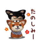 羊毛フェルト柴犬（個別スタンプ：9）