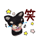 羊毛フェルト柴犬（個別スタンプ：25）