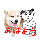 イラストとコラボのコーギー犬（個別スタンプ：9）