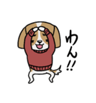 きゃば太くん【犬語】（個別スタンプ：1）