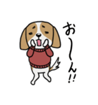 きゃば太くん【犬語】（個別スタンプ：3）