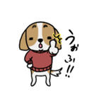 きゃば太くん【犬語】（個別スタンプ：5）