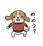 きゃば太くん【犬語】（個別スタンプ：14）