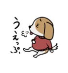 きゃば太くん【犬語】（個別スタンプ：28）