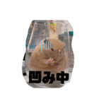 キンクマナイトの気持ちスタンプです（個別スタンプ：9）