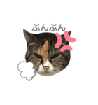 ぽむりんちゃぴ家 第一弾（個別スタンプ：2）