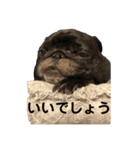じわじわセブンさん増（個別スタンプ：9）