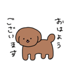 [挨拶]トイプードル（個別スタンプ：1）