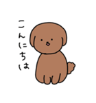 [挨拶]トイプードル（個別スタンプ：2）