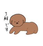 [挨拶]トイプードル（個別スタンプ：5）