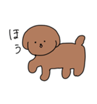 [挨拶]トイプードル（個別スタンプ：6）