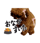 かわいいピノちゃん（個別スタンプ：3）