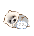 クマさんららら（個別スタンプ：2）