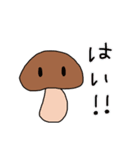 日常のきのこ（個別スタンプ：12）