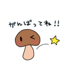 日常のきのこ（個別スタンプ：16）
