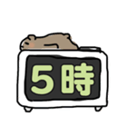 大きな文字で読みやすい！ゆるくま（個別スタンプ：31）