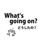 英語と日本語のでか文字猫2 サバトラ白ver.（個別スタンプ：11）