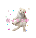 香辛料ファミリー⑥（個別スタンプ：4）